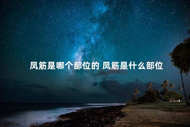 凤筋是哪个部位的 凤筋是什么部位